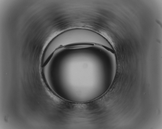 X0000091491136200708231416