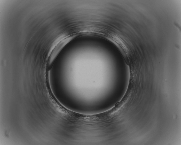 X0000091491138200708231416