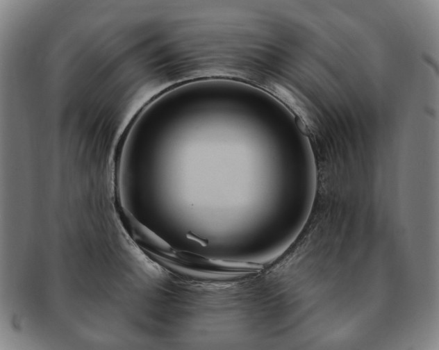 X0000091491140200708231416