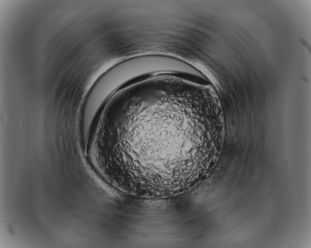 X0000091491142200708231416