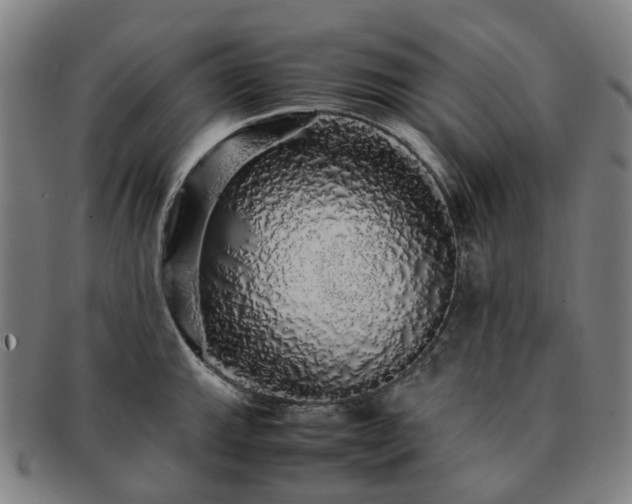 X0000091491143200708231416
