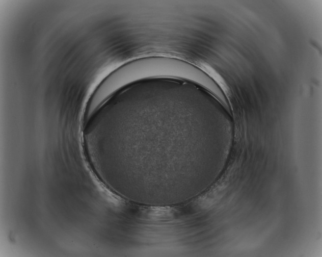 X0000091491144200708231416