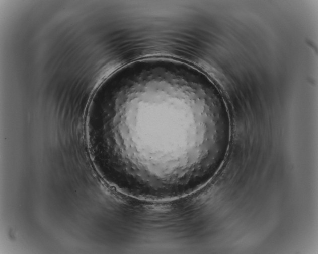 X0000091491145200708231416
