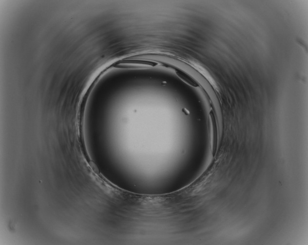 X0000091491148200708231417