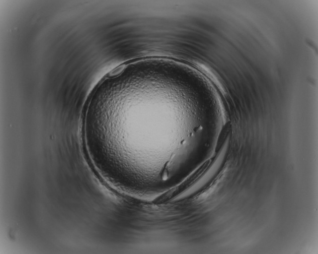 X0000091491149200708231417