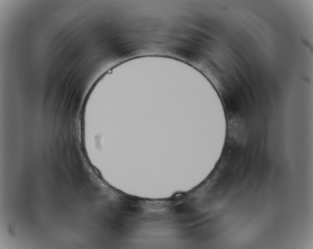 X0000091491150200708231417