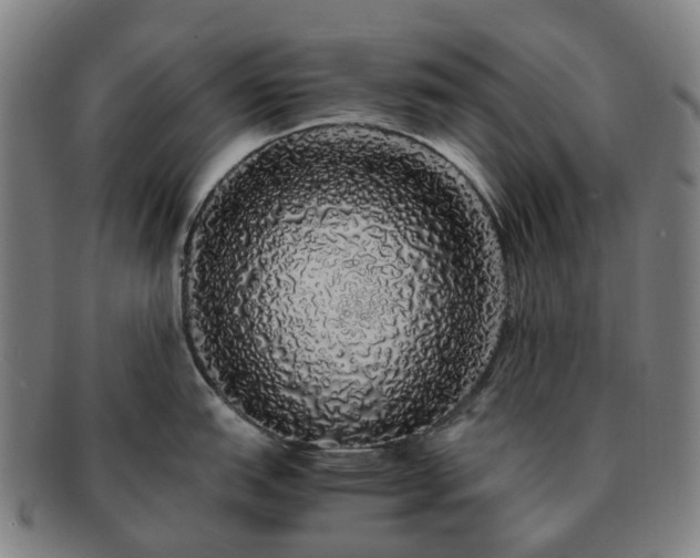 X0000091491151200708231417