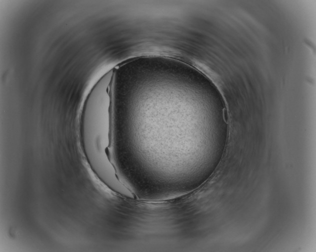 X0000091491152200708231417
