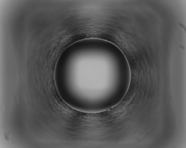X0000091491153200708231416