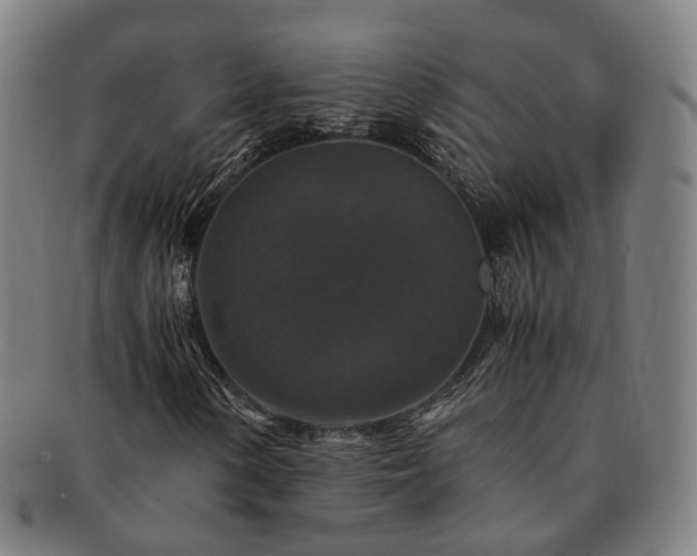 X0000091491154200708231416