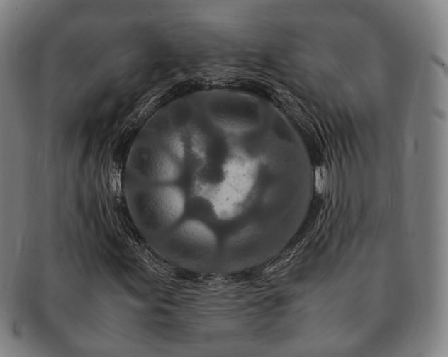 X0000091491155200708231416
