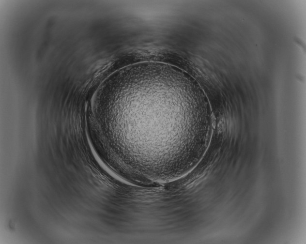 X0000091491156200708231416