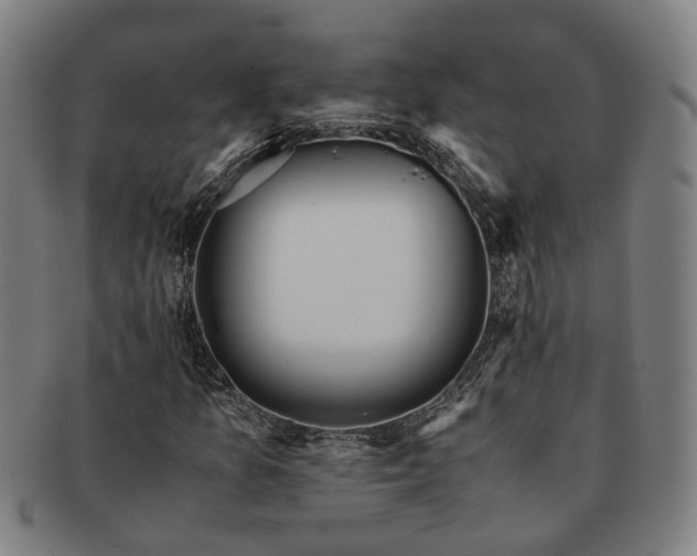 X0000091491157200708231416