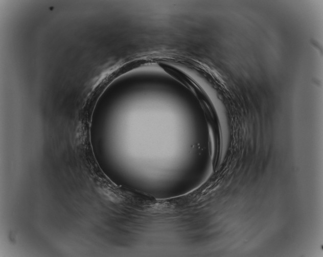 X0000091491160200708231416