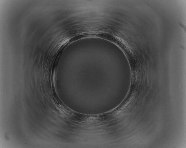 X0000091491161200708231416