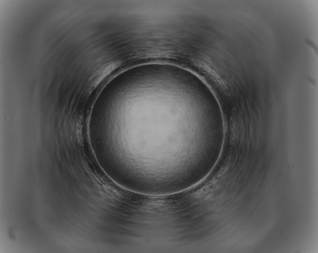 X0000091491162200708231416