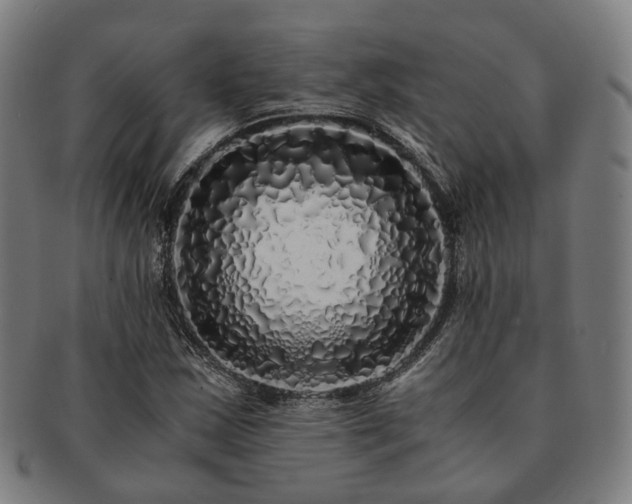 X0000091491163200708231416
