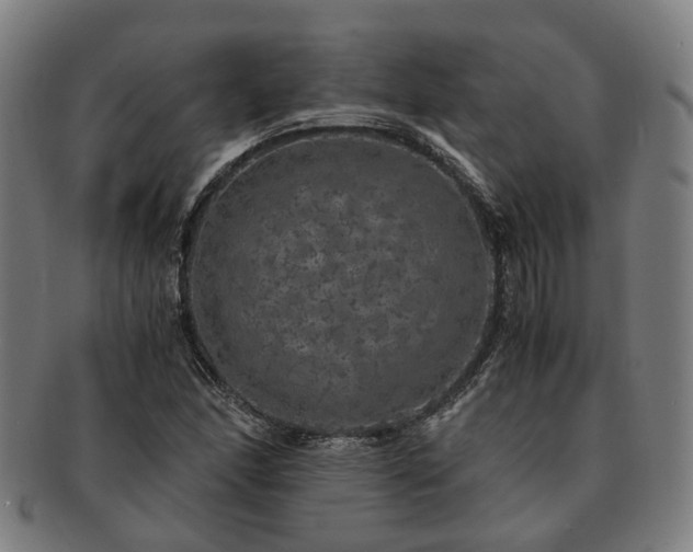 X0000091491166200708231416
