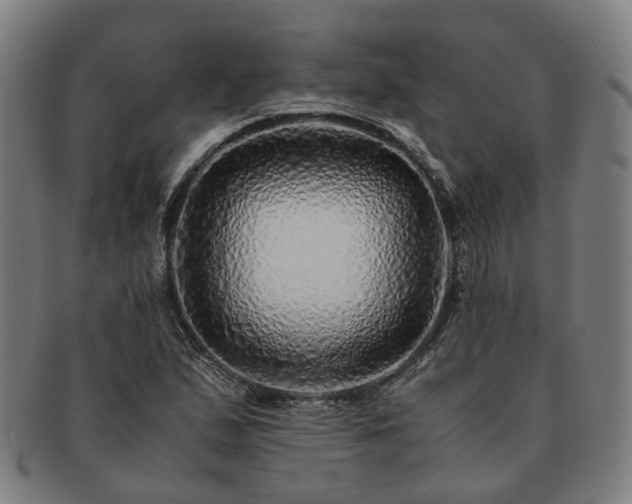 X0000091491167200708231416