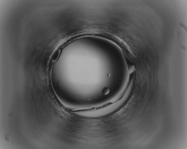 X0000091491168200708231416