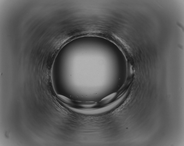 X0000091491169200708231416