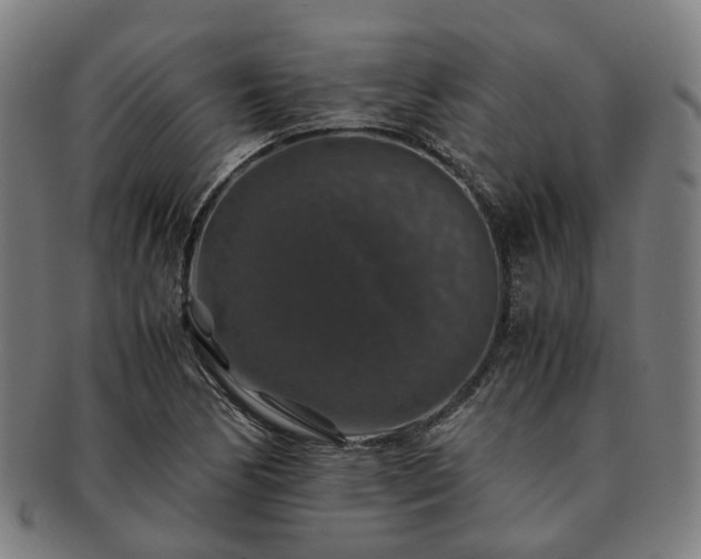 X0000091491170200708231416