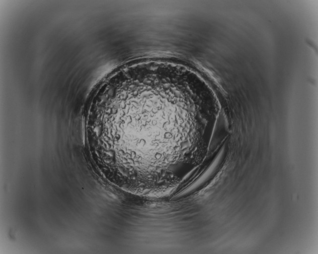 X0000091491171200708231415