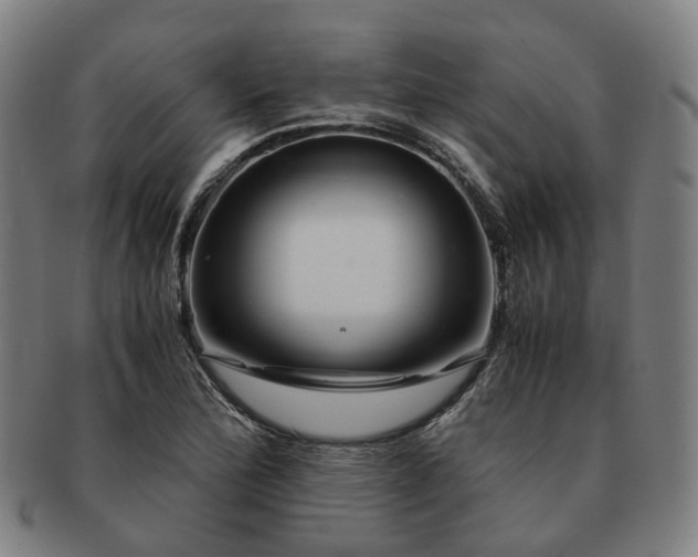 X0000091491172200708231415