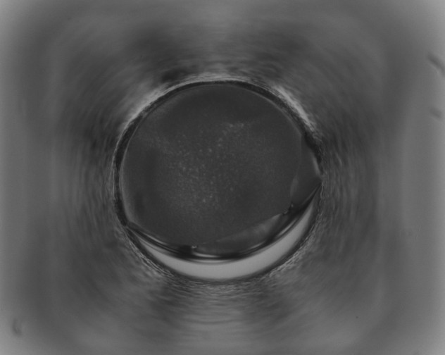X0000091491173200708231415