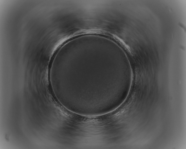 X0000091491174200708231415