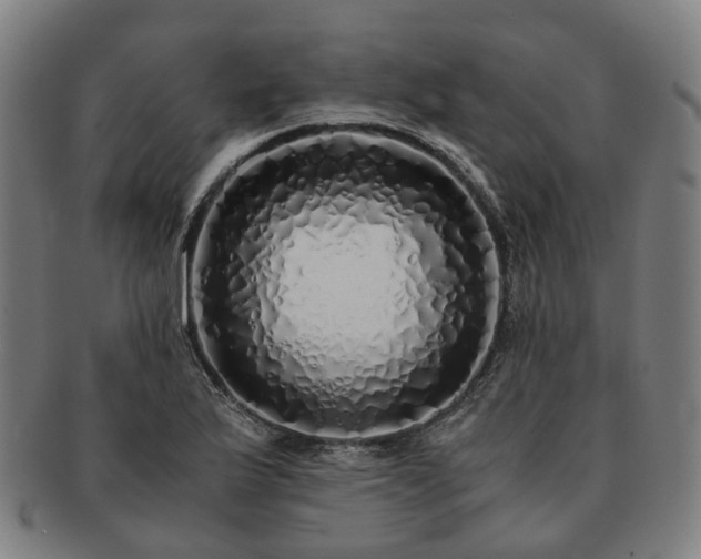 X0000091491175200708231415