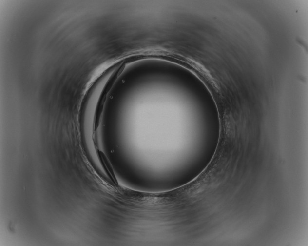 X0000091491176200708231415