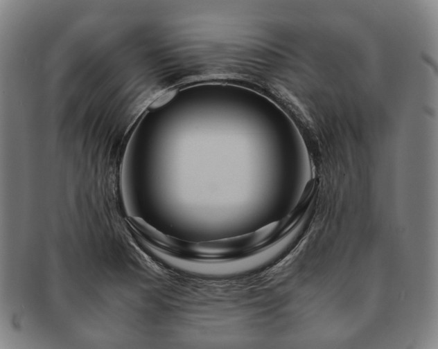 X0000091491177200708231415
