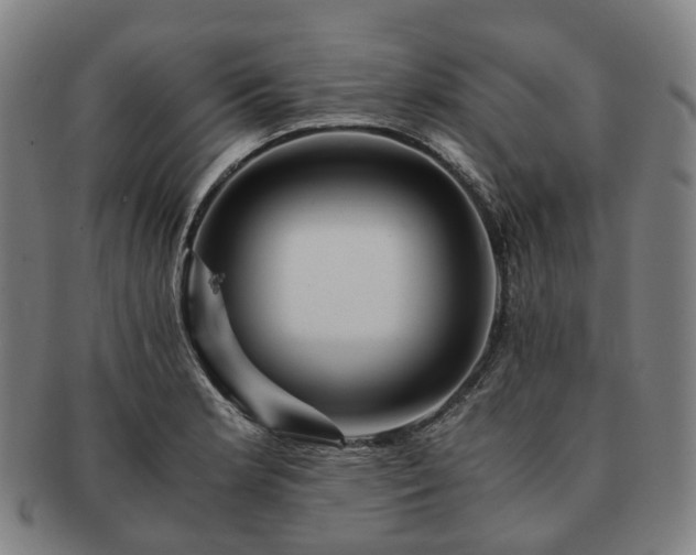 X0000091491181200708231415
