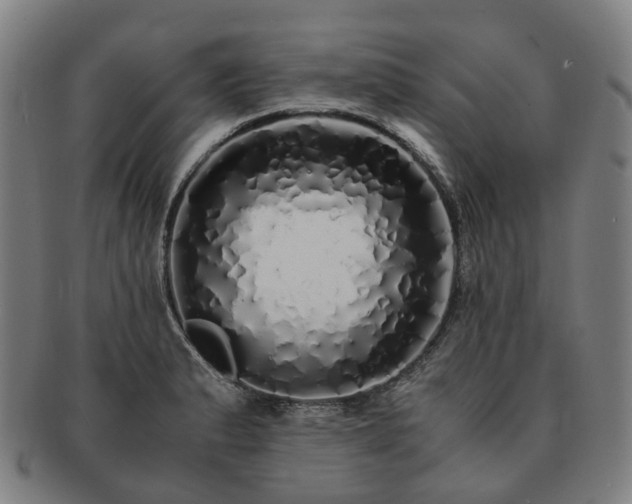 X0000091491183200708231415