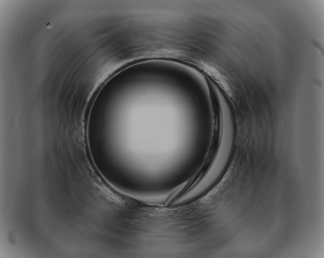 X0000091491184200708231415