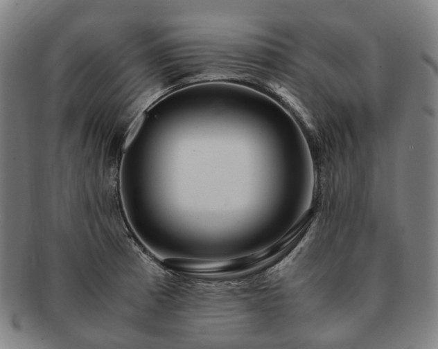 X0000091491185200708231415