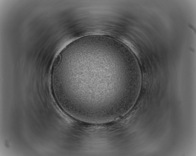 X0000091491187200708231415