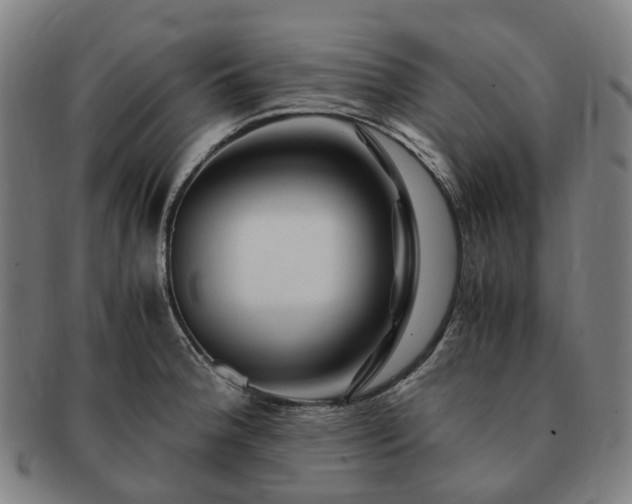 X0000091491188200708231415