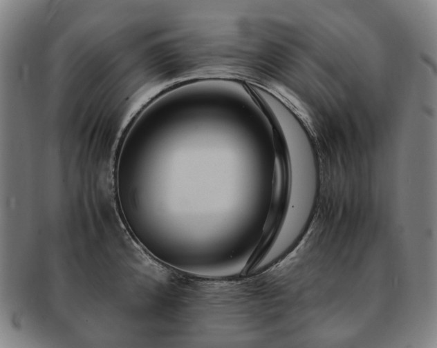 X0000091491192200708231415