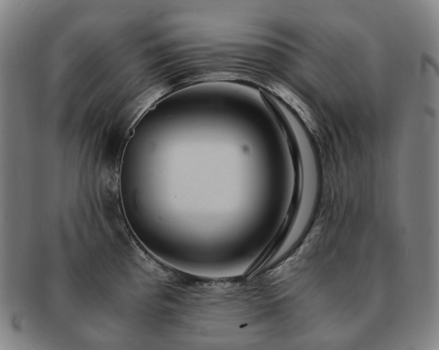 X0000091491193200708231415