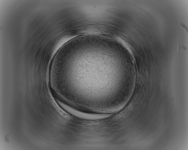 X0000091491195200708231415