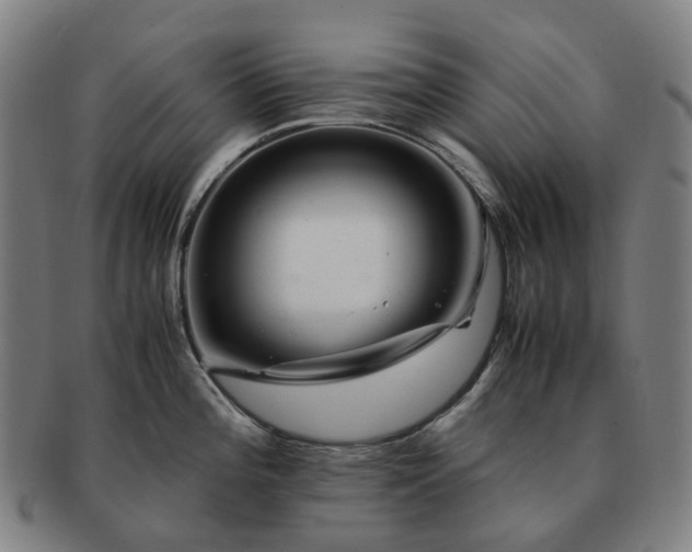 X0000091491196200708231415