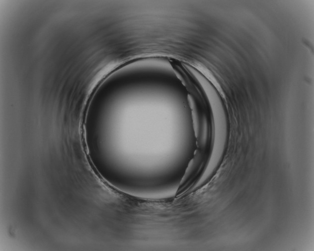 X0000091491197200708231415