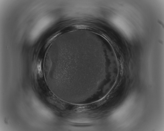 X0000091491198200708231415