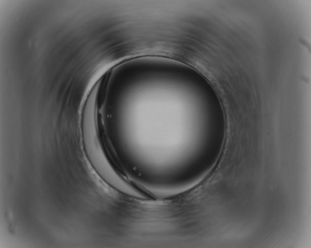 X0000091491200200708231415