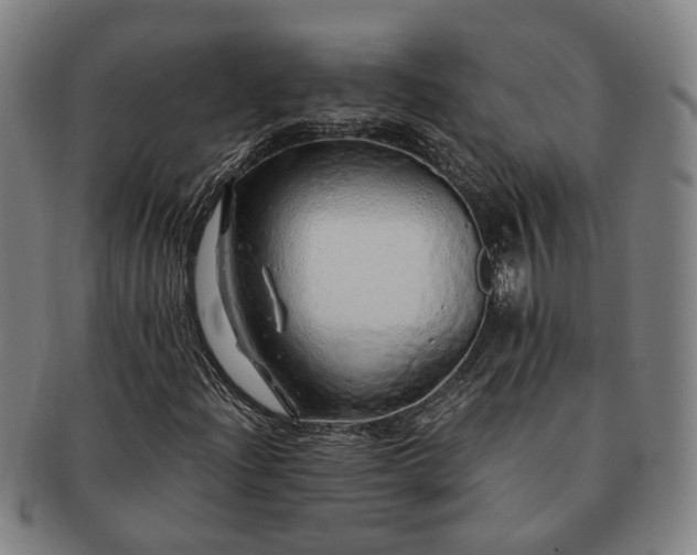 X0000091491204200708231414