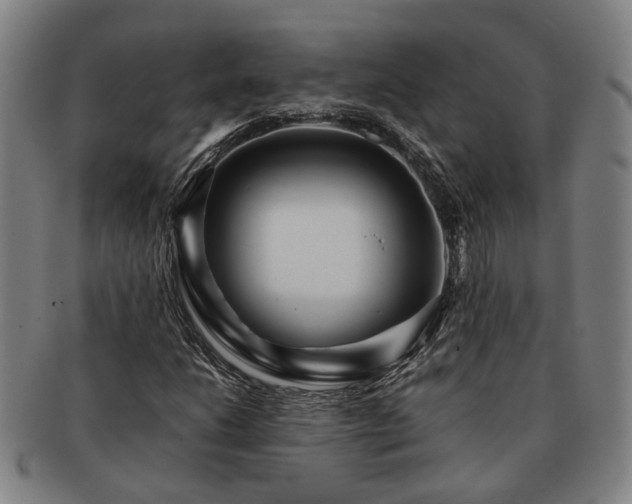 X0000091491206200708231415