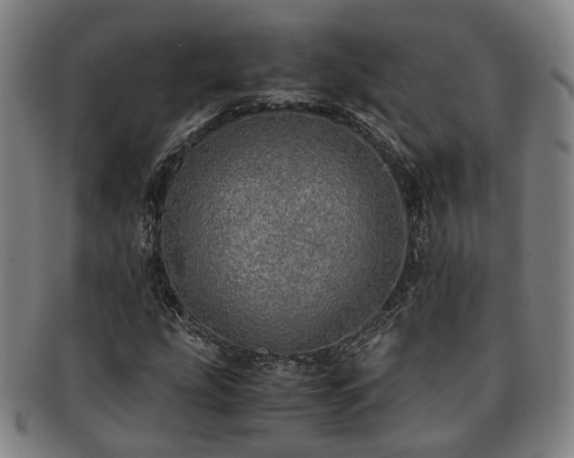 X0000091491207200708231415