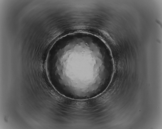 X0000091491209200708231415